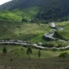 12 Destinasi Wisata di Puncak Bogor Terbaru dan Viral 2024 yang Wajib Dikunjungi