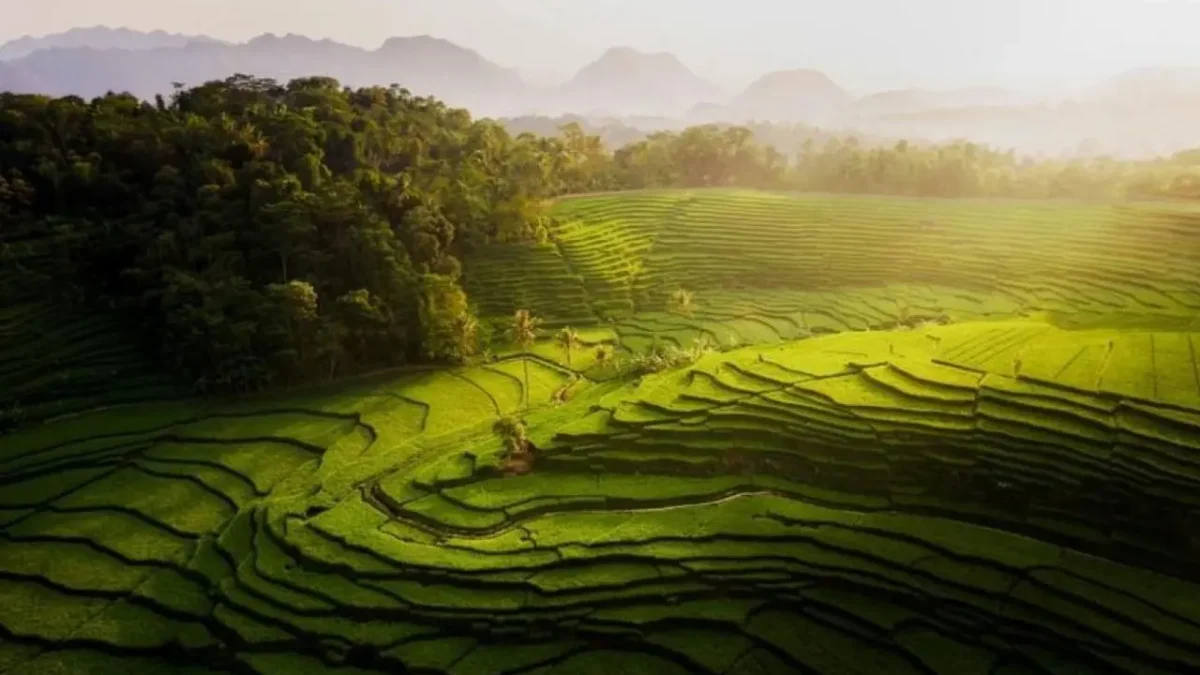 5 Rekomendasi Tempat Wisata Alam di Jawa Barat dengan Pemandangan yang Sangat Menakjubkan 5 Rekomendasi Tempat Wisata Alam di Jawa Barat dengan Pemandangan yang Sangat Menakjubkan