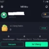 Simak 4 Langkah Mengembalikan Saldo Grapix Ai yang Tiba-Tiba Hilang!