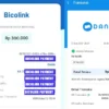 Cara Mudah Dapat Saldo DANA Gratis hingga Rp300.000 Setiap Hari, Begini Triknya