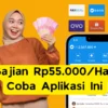 Ayo Kumpulkan Rp 55.000/Hari dari Aplikasi Saldo DANA Gratis Terbaik 2024