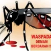 22 warga Kabupaten Bogor meninggal gegara DBD