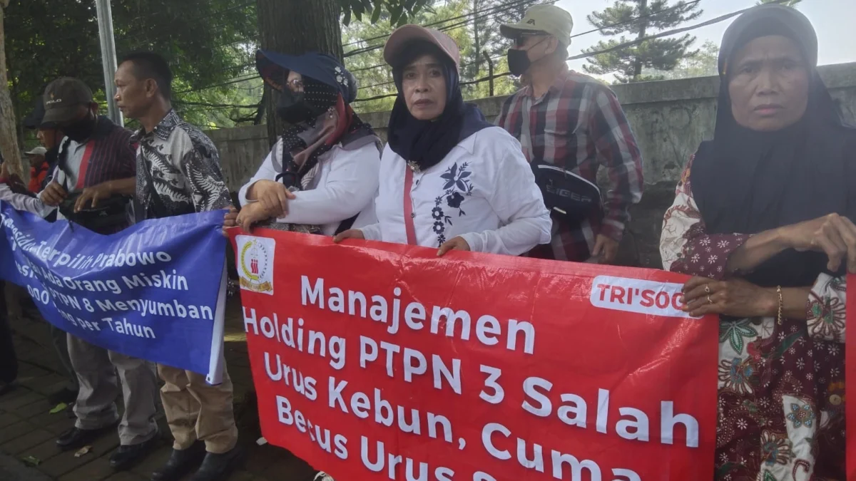 Ratusan Persiunan Tuntut PTPN Jabar-Banten Rp 500 M MENUNTUT HAK: Ratusan pensiunan PTPN (PT Perkebunan Nusantara) Jabar-Banten menggeruduk Kantor PTPN 1 Regional 2 di Jalan Sindangsirna, Gegerkalong, Kota Bandung, Selasa 19 November 2024.