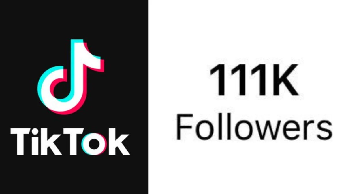 Apakah 12 November 2024 jadi hari penting di TikTok? Begini Fakta Terkini Tentang Tiktok akan hapus akun  untuk Followers di Bawah 600.