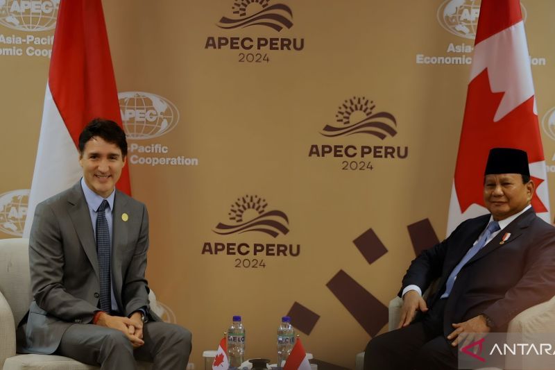 Memanfaatkan KTT APEC untuk Mengotimalkan Potensi Ekonomi Digital RI