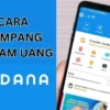 Cara Pinjam Saldo Dana Aman Tanpa BI Checking Melalui Aplikasi Resmi OJK