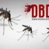 PAFI Kabupaten Muna Edukasi Pemberantasan Penyakit DBD