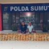 Personel Ditresnarkoba Polda Sumatera Utara menangkap terduga pemilik ganja dan menyita ganja seberat 272 kilogram. (foto/ANTARA)