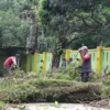 Beberapa Sekolah di Kota Cimahi alami kerusakan akibat pohon tumbang dan angin kencang