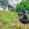 Aksi Nyata Kelompok Tani Selamatkan Lingkungan Bersama BRI Menanam-Grow & Green