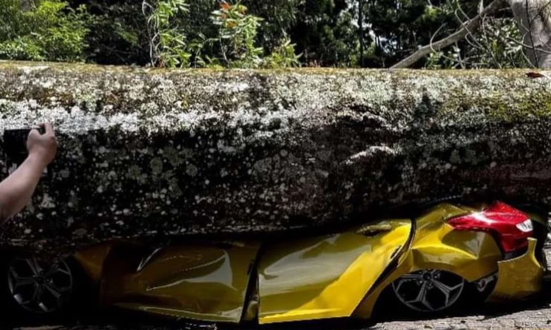 Pemkab Bandung Barat Tetapkan Status Siaga Darurat Bencana 7 Bulan Ilustrasi satu unit kendaraan tertimpa pohon besar akibat hujan lebat disertai angin kencang di wilayah Kecamatan Lembang, Bandung Barat. Dok istimewa