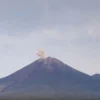 Gunung Semeru kembali erupsi dengan ketinggian letusan 800 meter. (foto/ANTARA)