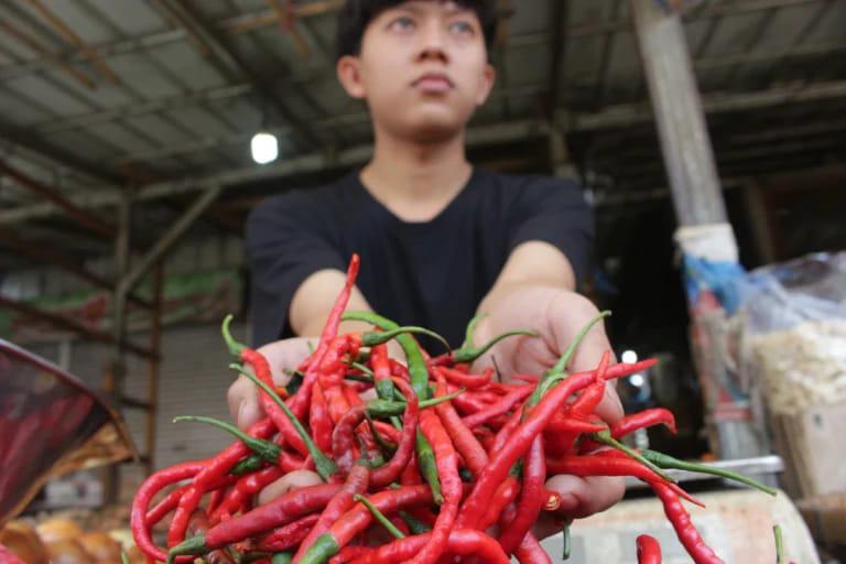 Cabai merah tembus Rp 60.000 perkilo di Pasar Induk, Kota Bandung (Jabar Ekspres)