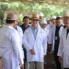 Ekosistem Pembiayaan Peternak Domba yang Diinisiasi OJK Mulai Menunjukkan Hasil