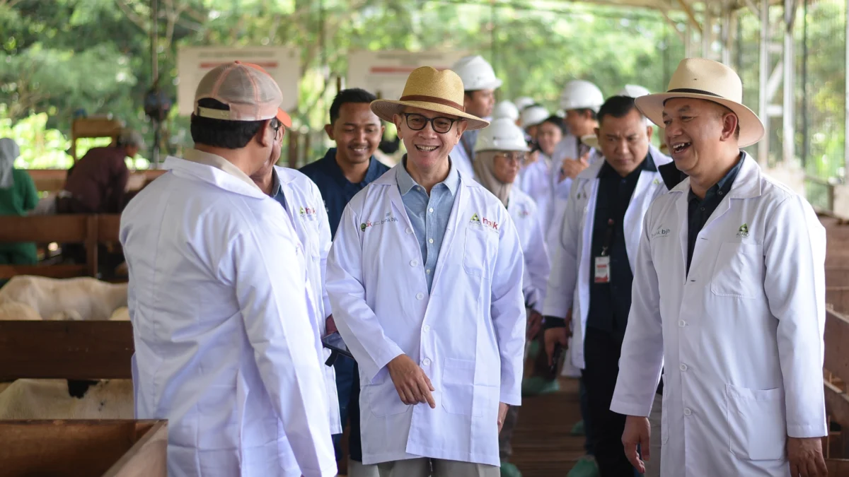 Ekosistem Pembiayaan Peternak Domba yang Diinisiasi OJK Mulai Menunjukkan Hasil
