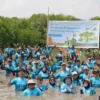 Atasi Dampak Abrasi di Desa Mayangan: Bio Farma Bawa 100 Karyawan Tanam 3500 Mangrove Atasi Dampak Abrasi di Desa Mayangan: Bio Farma Bawa 100 Karyawan Tanam 3500 Mangrove