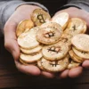 Kemenangan Donald Trump di Pilpres AS Memicu Peningkatan Drastis Harga Bitcoin, Potensi Keuntungan Besar di Pasar Kripto!