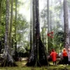 7 Tempat Wisata Gratis di Bogor yang Wajib Dikunjungi