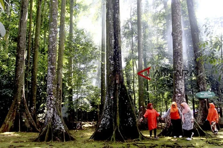 7 Tempat Wisata Gratis di Bogor yang Wajib Dikunjungi