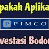 Pimco Aplikasi Penghasil Uang Apakah Terbukti Aman? Ini Faktanya