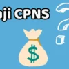 Gaji CPNS 2024 Tahun Pertama Cuman 80 Persen? Ini Penjelasan 20 Persennya