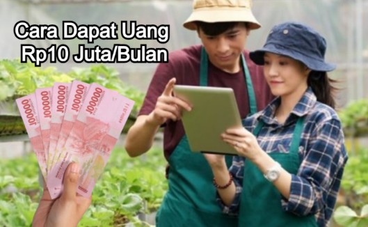 Cara Dapat Uang Rp10 Juta Perbulan, Daftar di LINK ini ILUSTRASI cara dapat uang hhingga Rp10 Juta perbulan dari Pemerintah.
