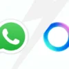 Kenapa Fitur Meta AI WhatsApp Tidak Muncul? Ini Alasannya
