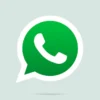 Beneran Aman? Begini Cara Tahu WhatsApp Kamu Disadap, Silahkan Coba!