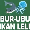 Balasan Pantun Ubur-Ubur Ikan Lele yang Viral Kumpulan Pantun Ubur-Ubur Ikan Lele yang Viral, Lee!