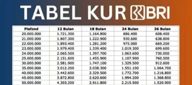 KUR BRI 2025 Dibuka, Pinjaman Rp 50-100 Juta, Syarat Mudah Pakai KTP