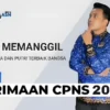 Bocoran CPNS 2025, Ini Kuota Formasinya