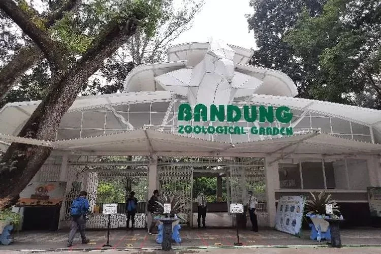 Foto ilustrasi Kebun Binatang Bandung (Dok Jabarekspres)