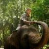 Pawang Gajah sedang beraksi di Bandung Zoo.
