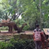 Potret wisatawan yang berkunjung ke Bandung Zoo, Rabu (29/1) saat momen akhir libur panjang Isra Miraj dan Imlek (Sadam Husen / JE)