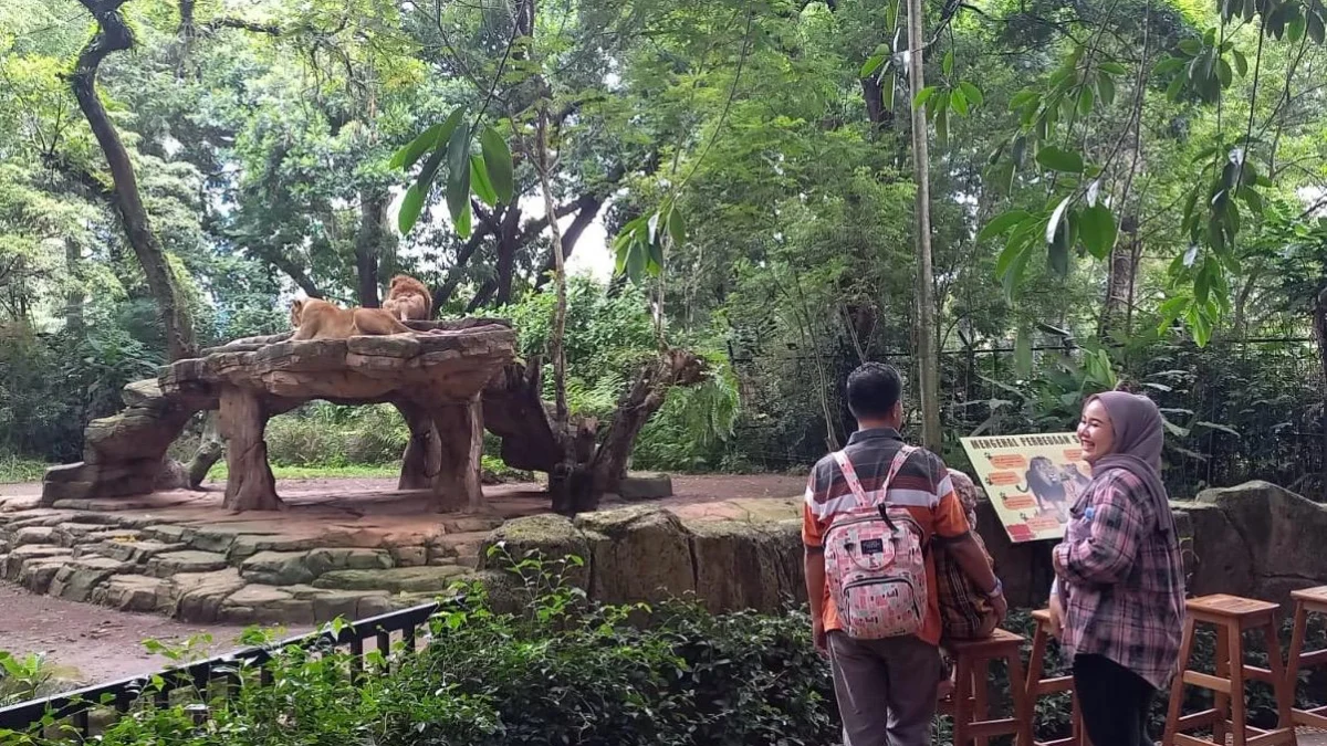 Potret wisatawan yang berkunjung ke Bandung Zoo, Rabu (29/1) saat momen akhir libur panjang Isra Miraj dan Imlek (Sadam Husen / JE)