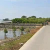 Setelah ramai mengenai pagar laut di Bekasi dan Tanggerang, Di Kabupaten Subang kini muncul 307 sertifikat yang obyek ada di laut.