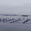 Keberadaan "Pagar Laut" di Pesisir Utara Tangerang, Semua Pihak Diimbau Bijak 