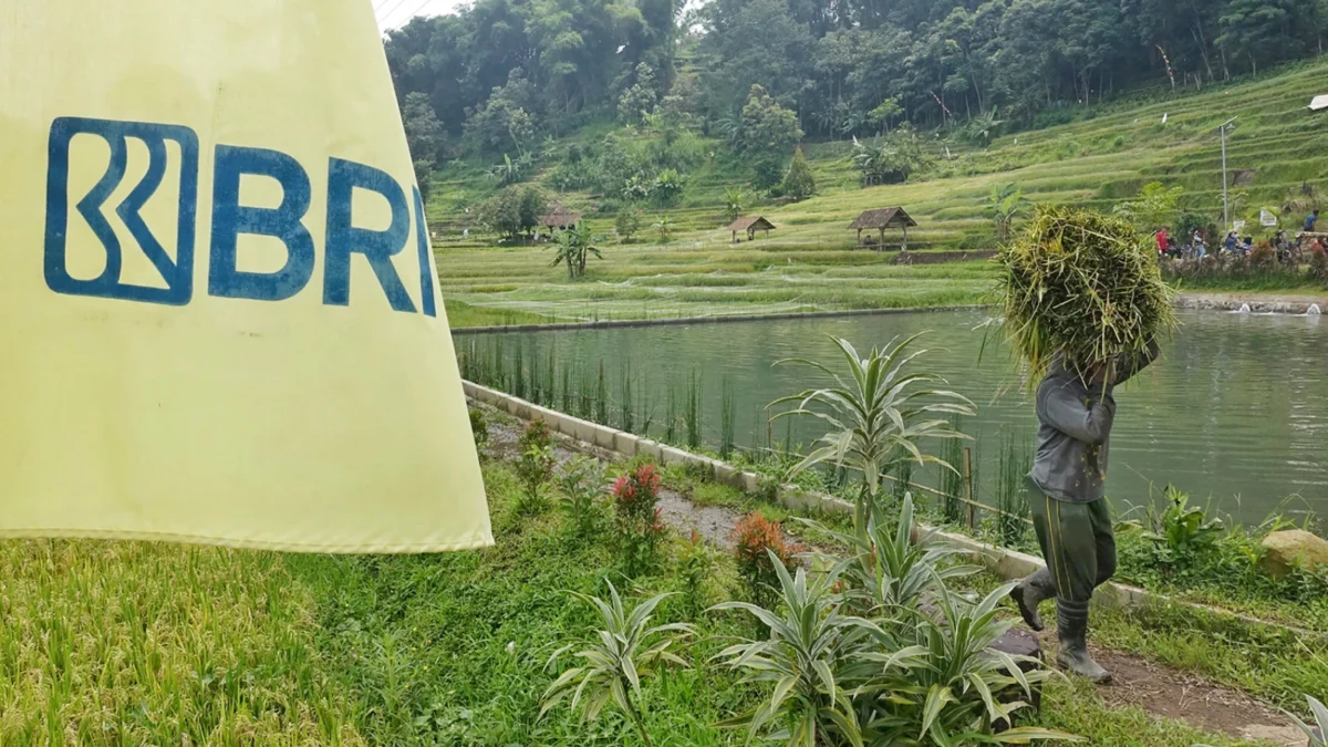 5 Komitmen Nyata BRI Dorong Peningkatan Kualitas Dan Daya Saing UMKM