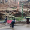 Opar dan Keluarga saat melihat Panda di Istana Panda, TSI Bogor, Rabu (29/1).