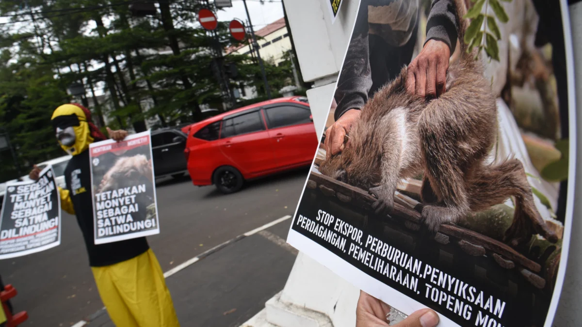Jerit Sunyi dari Wajah-Wajah yang Dibungkam Seniman pantomim Wanggi Hoed melakukan aksi dalam rangka Hari Primata Indonesia untuk perlindungan terhadap satwa di depan Tugu Patung Maung, Jalan Perintis Kemerdekaan, Kota Bandung, Kamis (30/1). Foto: Dimas Rachmatsyah / Jabar Ekspres