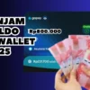 Pinjaman Saldo Dana Rp300.000 Diterima Langsung Ke Akun E-wallet