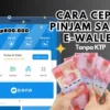 Pinjam Saldo EWallet Rp800.000 Langsung Terima Tanpa Ajukan KTP