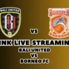 LINK Live Streaming Bali United vs Borneo FC Hari Ini, Pekan Ke-20 di BRI Liga 1 2024/2025