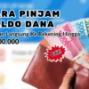 Cara Pinjam Saldo Dana Cepat Lewat Aplikasi yang Aman Tanpa Syarat KTP