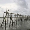 Pagar Laut sepanjang 30,16 KM yang terpasang di perairan Tangerang. (Foto: ANTARA)