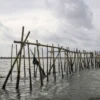 Pagar Laut sepanjang 30,16 KM yang terpasang di perairan Tangerang. (Foto: ANTARA)