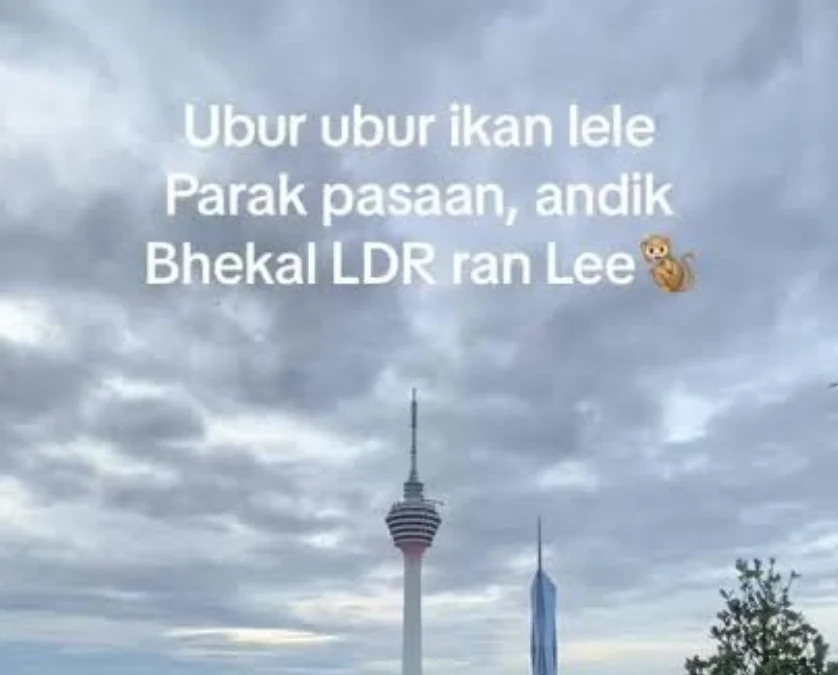 Kumpulan Pantun Ubur Ubur Ikan Lele yang Lagi Tren di TikTok Kumpulan Pantun Ubur Ubur Ikan Lele yang Lagi Tren di TikTok