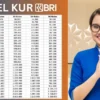 Cuma Cicilan 1 Jutaan, KUR BRI 2025 Pinjaman Rp50 Juta Siap Kembangkan Usahamu!
