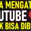 Ini Solusi YouTube Tidak Bisa Dibuka Padahal Sudah di Update