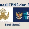 Seleksi CPNS dan Rekrutmen Bersama BUMN 2025 Resmi Segera Dibuka